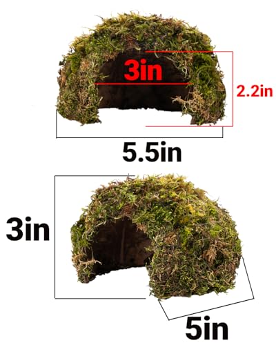 Reptile Hides and Caves – Leopard Gecko Tank Accessories, Natural Dome Reptile Cave & Shelter, Gecko Tank Accessories & Hermit Crab Shelter, Hamster Cage Accessories