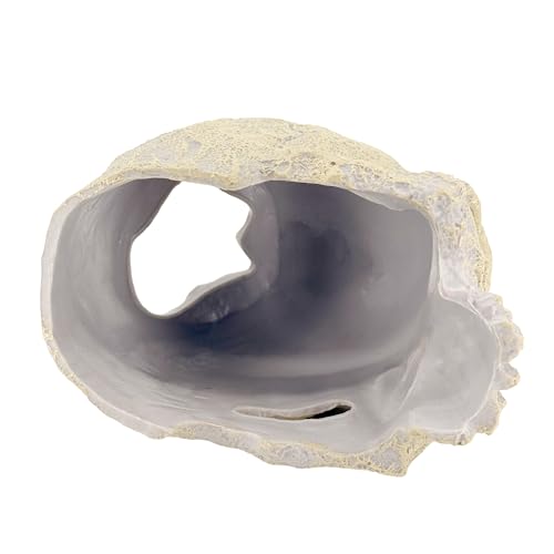 CTWPets Aquarium Human Skull Decor for Betta Fish, Sinking Hide Shrimp Hide