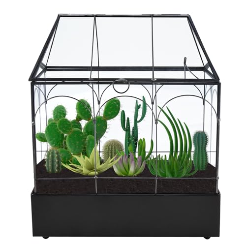 HighFree Glass Terrarium with Metal Tray, Glass Greenhouse Terrarium Kit for Succulents, Cacti, Snails, Spiders, and Miniature Reptiles, Black (Large-9.45" L x 5.7" W x 11.8" H) - size: Large-9.45"L x 5.7"W x 11.8"H