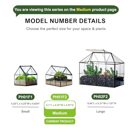 NCYP Mini Glass Terrarium with Lid - 6.1" x 4.25" x 4.92" House Shape Closed Planter for Mini Cactus, Succulents Plant, Moss - Home Garden Office Tabletop Geometric Decor, Black (Terrarium Only) - size: 6.1x4.25x4.92 inches