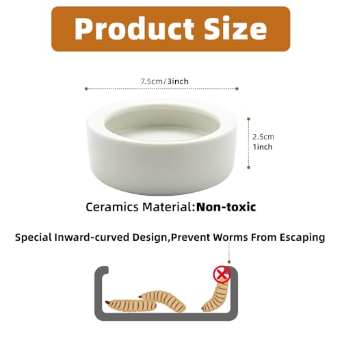 Escape-Proof Reptile Food Dish Bowl, Ceramic Reptile Feeding Dish & Small Animal Bowl for Lizard, Leopard Gecko, Hermit Crab, Hamster, Anti Escape Live Food & Water Dish (3x1in) - size: Medium-1Pack