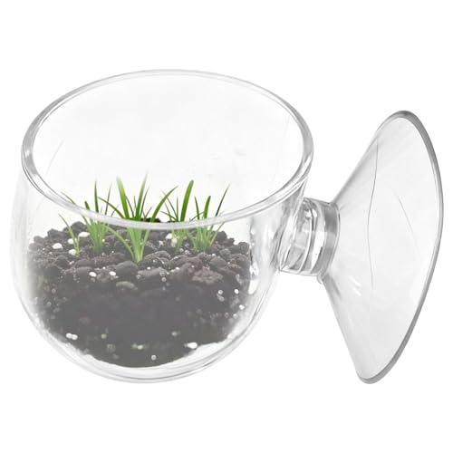 Floating Shrimp Bowl, Aquarium Feeding Tray with Suction Cup, Fish Food Cup Accessory, Reptile and Aquatic Pet Feeder, Tank Tortoise Gecko Bearded Dragon Betta Turtle Shrimp Crab Frog Snake Spider - size: Small