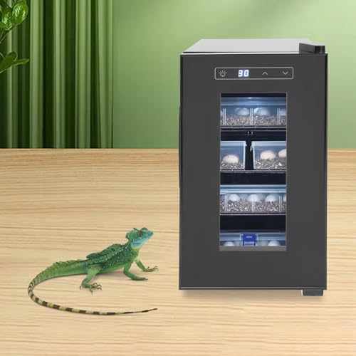 Reptile Incubator, 23L Small Digital Lab Incubator Cooling and Heating 50-104°F Reptile Egg Incubator for Turtle Lizard Gecko Snake Small Reptiles Hatching, Black