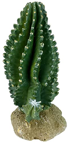 Multi Pet 48593320: Komodo Cactus Plant Columnar, 5.9In