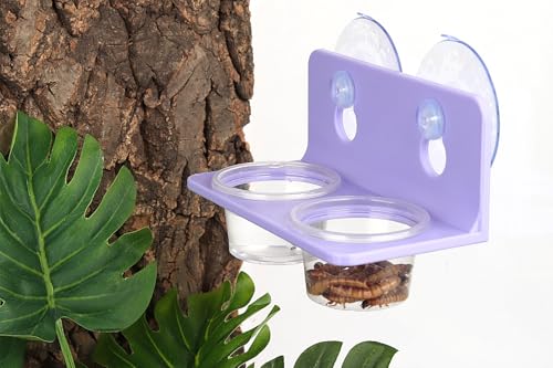 Crested Gecko Feeding Ledge with 10PCS Gecko Food Water Dish - Purple - color: Purple