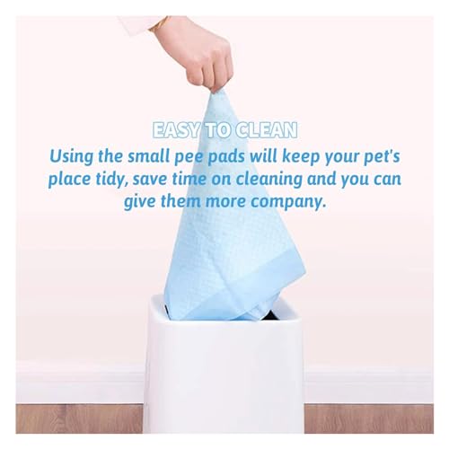 Hamiledyi Rabbit Pee Pads Disposable Cage Liners Leak-Proof Super Absorbent Pet Toilet/Potty Training Pad for Puppy Guinea Pigs Hedgehog Hamsters Chinchillas and Other Small Pets (20PCS ) - size: 20 PCS
