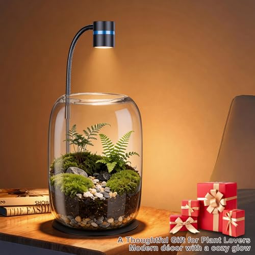 Glass Plant Terrarium with LED Grow Light, Grow Light for Terrarium, Small Desktop Indoor Planter for Venus Fly Trap, Moss & Succulents, Borosilicate Decor Jar for Plant Lovers