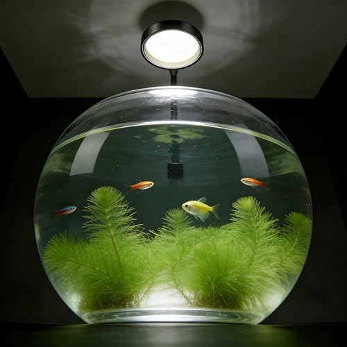 Carefree Fish Aquarium LED Light USB 7W Timer 4/8/12/18 Hours for 1~5Gal Fish Tank (Include UL Certification Power Adapter)