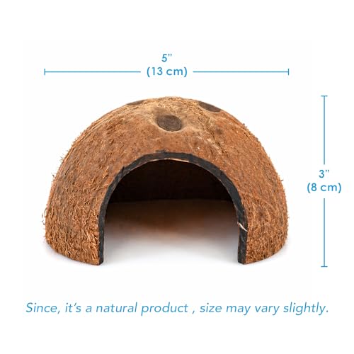 JOR Axolotl Cave, Coconut Shell Hideout and Resting Tunnel, Shelter for Pleco, Crabs, Fish, Turtles, Geckos, Tank Décor, 5” x 3”, 1 Pc Per Pack