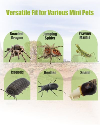 Jumping Spider Enclosure 6”x6”x10”, Transparent Arboreal Tarantula Habitat, Praying Mantis Terrarium Critter Cage for Jumping Spider, Tarantula, Mantis, Snail, Isopods, Beetles, Millipedes - size: Large