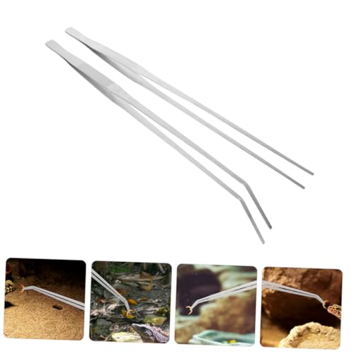 2pcs Heavy-Duty Stainless Steel Reptile Feeding Tongs Curved Aquarium Tweezers for Terrarium Use Long Handle Tweezers for Feeding Lizards and Aquatic Plants