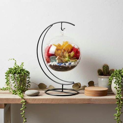 Creations by Nathalie Glass Terrarium: Air Plant & Succulent Holder, DIY Kit Vase (Glass Globe with Stand)