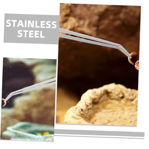 Toddmomy 2pcs Feeding Tongs Plant Curve Aquarium Tweezers Bearded Dragon Food Tongs Tweezers Feeding Fish for Terrarium Extra Long Reptile Supply Silver Stainless Steel