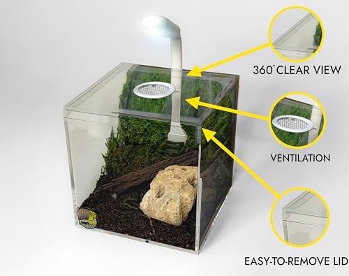 BugzyBugs 4″ Ventilated Acrylic Vivarium Terrarium Enclosure Clear Cubic Bug Habitat for Spiders, Isopods, Insects, Reptiles - color: White
