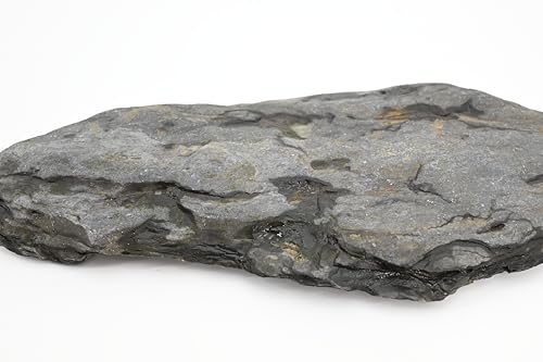 Aquarium Stone Natural Slate Stream Turtle Tank Rocks 3-7 inches Fish Rock for Aquarium Aquascaping Shrimp Tanks Amphibian Enclosures Paludarium-5lb - size: 5lb(3-7inch)