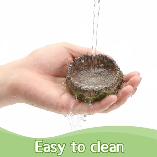 Small Reptile Food Dish, 2 PCS Reptile Water Dish Food Bowl Reptiles Feeding Foods Resin Terrarium Bowl for Bearded Dragon Gecko Frog Snake Chameleon Tortoise