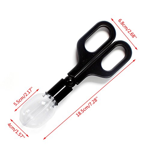 Reptiles Feeding Scooper Poop Catching Clamp Spoon-Shaped Tips Feeder Tweezers for Reptiles Supplies Pet Supplies Pet Amphibians Health