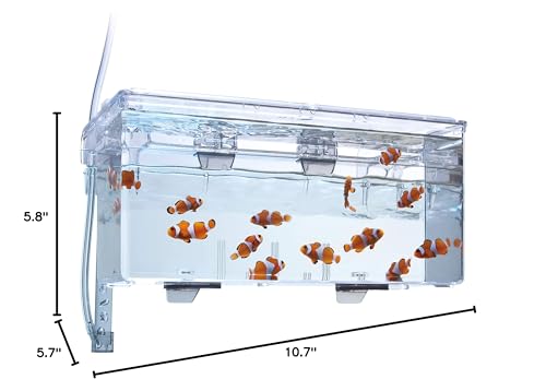 Fluval Multi-Chamber Holding and Breeding Box, Large – Up to 3 Separate Housing Compartments (Pack of 6) - size: Large (Pack of 6)