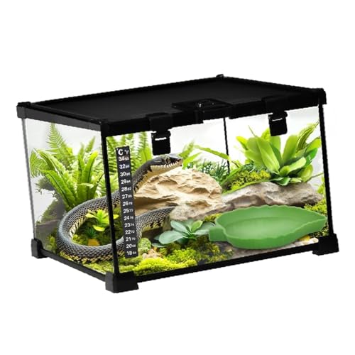 Glass Terrarium Reptile Terrarium Breeding Tank Stackable with Leaf-Shaped Water Basin