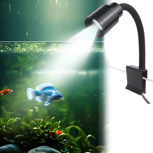 Mini Clip On Aquarium Light Small Dimmable Fish Tank Light USB Spotlight with Timer 3 Light Modes 10-Level Brightness for 1 to 3 Gallon Tanks (Adapter NOT Included) - size: Clip Light With Timer&Dimmer