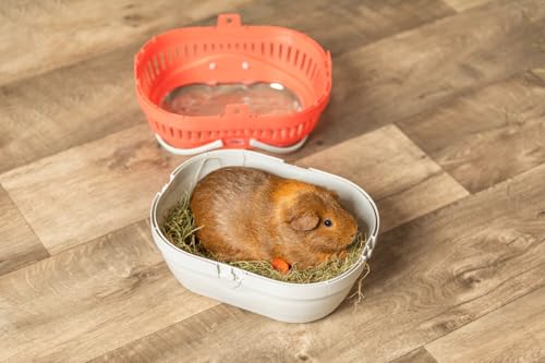 Trixie Pico Transport Crate, Small Pet Carrier, Portable Travel Carrier, for Small Pets, Hamsters, Guinea Pig, Lizards - size: 11.8"L x 8.3"W x 9.1"H