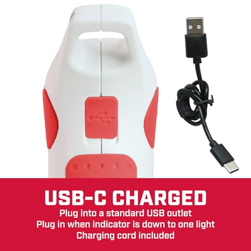 Chapin 75004: 1-Liter USB-C Battery Powered Electric Sprayer, Rechargeable, Portable Garden and Plant Sprayer, Mister, for Outdoor and Indoor Plants and Small Gardens, Handheld Powered, White