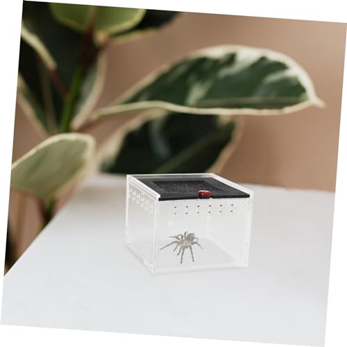 Small Animal Breeding Box Acrylic Reptile Case Waterfall for Lizards Spiders Easy Viewing Design