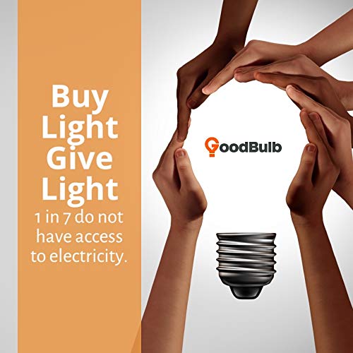 GoodBulb 32-Watt 48-Inch T8 Fluorescent Light Bulb 5700K Daylight White Color Medium Bi-Pin Base 3100 Lumens 88 CRI 24000 Life Hours Instant/Programmed Start Pack of 30 - color: 5700k