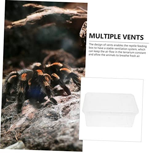BESTonZON Practical Reptile Terrarium Full Observation Breeding Boxes for Spiders Lizards and Insects