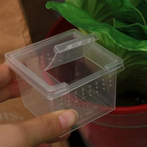Small Reptile Breeding Box for Reptiles Small Snake Turtle Spiders Geckos Frogs Breeding Box Case Feeding Hatching Container Transparent(B) - style: B