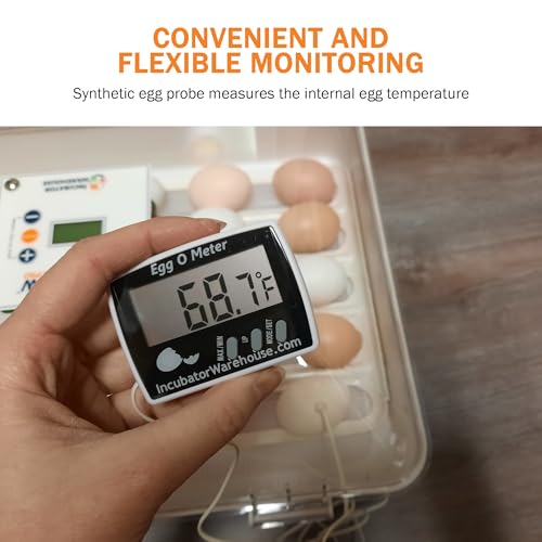 Egg-O-Meterβ’ - Large Digital Display Egg Thermometer with Min/Max Memory