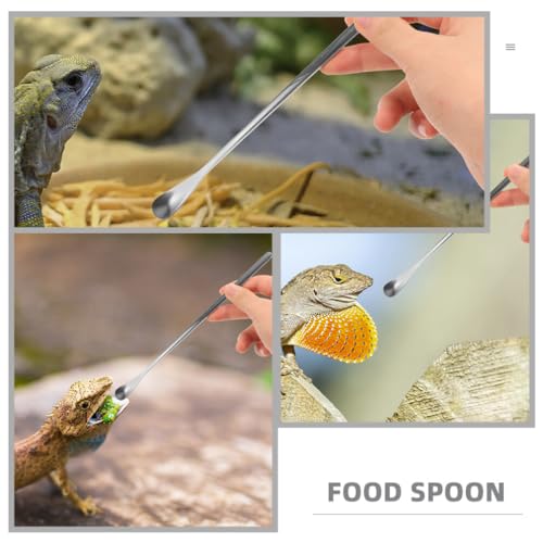 Housoutil 3pcs Lizard Feeding Spoons Handle Pet Food Tools for Bearded Dragon Reptiles Easy to Use Feeding Utensils - color: As Shown