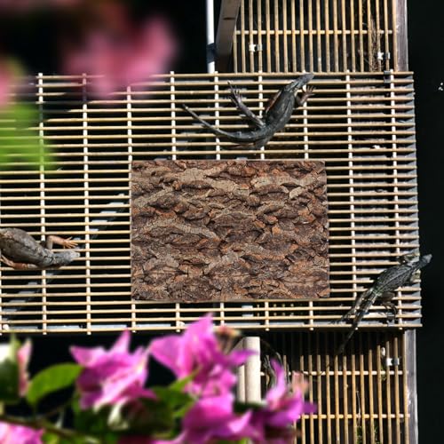 DOITOOL 2 PCS Natural Cork Bark Background, 11.8" x 7.9" Reptile Tree Bark Reptile Hides for Tank Backdrop Climbing Wall Terrarium Decor Accessories for Bearded Dragon Lizard Geckos Tortoise