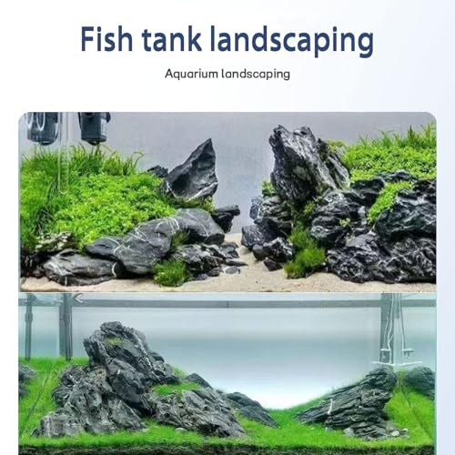 Dragon Stone Aquarium Rock Seiryu Stone for Aquariums, Fish Tanks, Bonsai, Terrariums, Wargaming Dioramas, Indoor or Outdoor Gardens-40lb(2-10 Inch) - size: 40Lb(2-10inch)