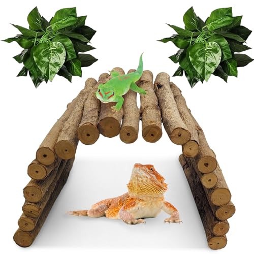 Hamiledyi 11.8 x 6.7 Inches Wooden Reptile Hideout Bearded Dragon Bendy Bridge Climbing Ladder Hiding Hut Reptiles Hide Cave Habitat Decor for Lizards Gecko Spiders Snakes Tortoise(Medium)