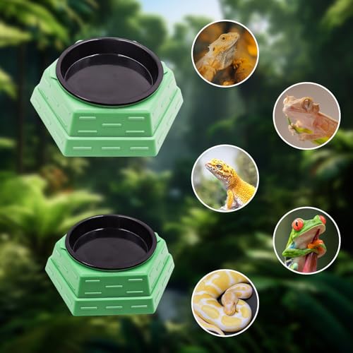 Bearded Dragon Tank Accessories, Reptile Maze Food Bowl and Water Bowl 2-in-1, Reptile Water Dish, Tank Accessories for Bearded Dragon, Ball Python, Gecko, Snake - size: Large