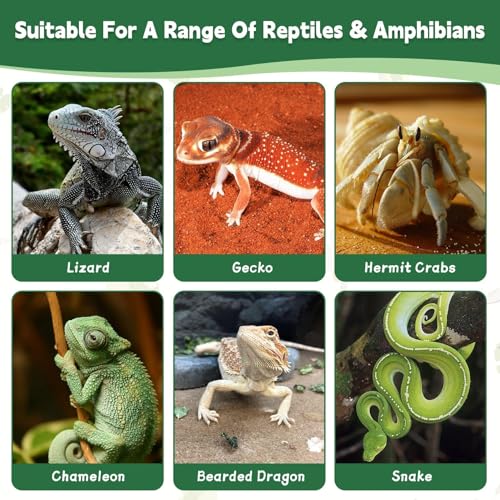 PINVNBY Gecko Feeder Bowl Resin Rock Reptile Water Dish with Feeding Cups Gecko Reptile Terrarium Tank Accessories for Bearded Dragons Leopard Lizard Snake Chameleon