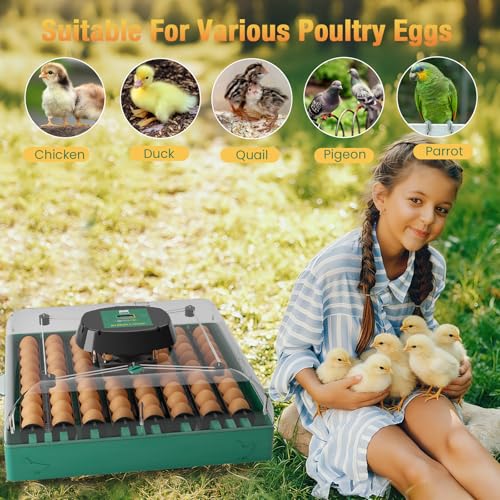 Egg Incubator for Chicken Eggs, Max 72 Egg Large Capacity with Automatic Egg Turner and Humidity Control, Egg Hatching Incubator for Chicken, Quail, Duck with 360° Clear View for Farm & Classroom