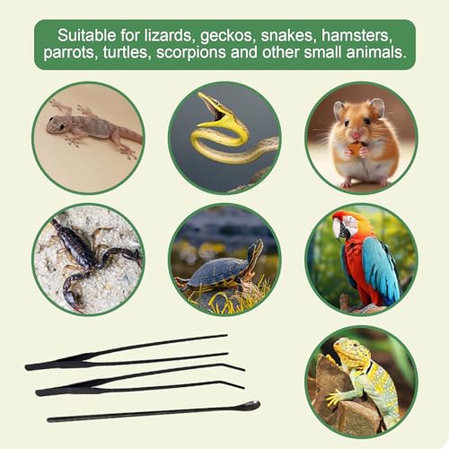 Reptile Feeding Tongs Kit, 2Pcs Extra Long Stainless Steel Reptile Feeding Tongs, 1Pcs Feeding Spoon, Small Animal Feeder Tool for Lizards, Crested Geckos, Bearded Dragons - color: Feeding Set