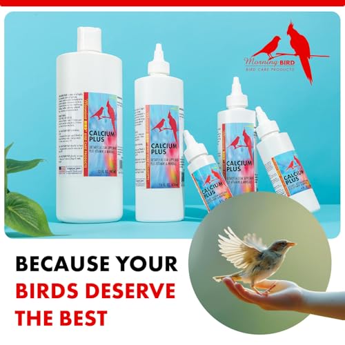 Morning Bird Calcium Plus Liquid for Birds – Calcium Supplement with Vitamins and Minerals for Strong Eggshells, Healthy Bones - Support Growth, Breeding, and Wellness for All Birds 2 Fl Oz - size: 2 Fl Oz