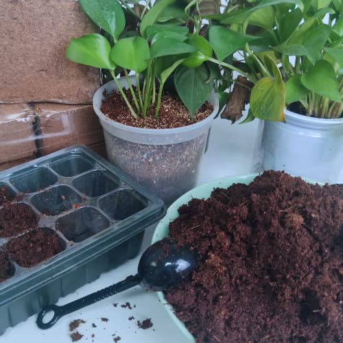 3-Pack Coco Coir Bricks, Premium Organic Peat Moss Mix for Plants, Low EC & pH Balance, Fiber Coconut Husk. Ideal for Gardening, Potting Soil & Substrate - size: 3Pack