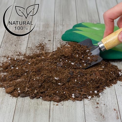 Soil Sunrise Aroid Plant Potting Soil Mix (8 Quarts) for Pothos Devil's Ivy, ZZ Plant, Chinese Evergreen, Dumb Cane Philodendron, Syngonium, Alocasia, Colocasia Etc.