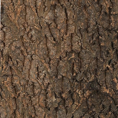 Cork Bark for Reptiles - Natural Terrarium Climber | Water-Resistant Cork Bark for Climbing, Exercise, and Hiding, Perfect Snakes, Lizards, Tortoises, Geckos, Turtles, Chameleons, Pet Terrariums