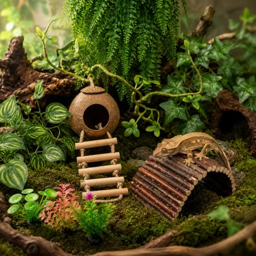 RUNANIA Crested Gecko Tank Accessories,Reptile Vines Plants with Coconut Shell Ladder Hideout Hermit Crab Decor for Leopard Gecko Lizard Chameleon Tortoise Snake Terrarium Decor