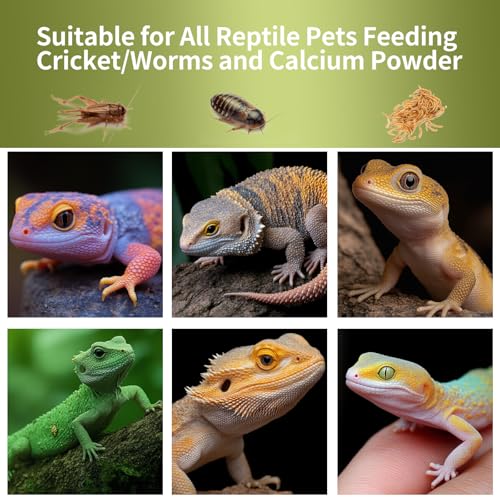 Cricket Calcium Powder Mixer for Reptiles,Easy-to-Use Cricket Keeper Calcium Shaker for Even Coating, Reptile Nutrition Dispenser, Bearded Dragon Gecko Lizard Turtle Tank Accessories