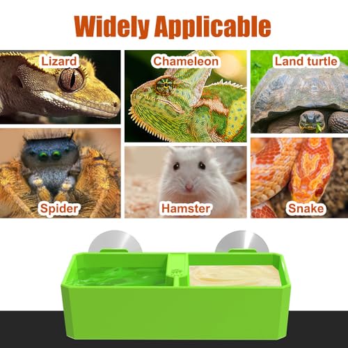 DONGKER Reptile Feeding Ledge,Square Dual-Compartment Reptile Water Food Bowl with 2 Suction Cup for Bearded Dragon Lizard Turtle Tortoise - size: S 3.9"x2.8"x1.3"