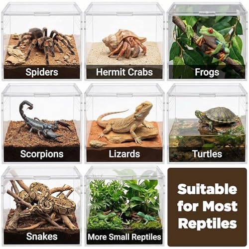 6 Pcs Spider Micro Water Bowls, Tarantula Enclosure Accessories, Mini Resin Dish for Tarantula, Spider, Millipede and Tiny Reptiles, Small Reptile Food Dish Bowl (1.65" D, 0.59" H)