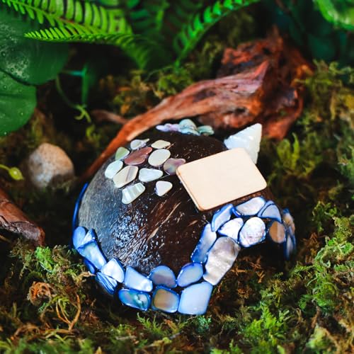 Reptile Hideouts, Handmade Handmade Reptile Home, Hide Cave for Crested Gecko, Leopard Gecko, Lizard, Snake, Crabs Hide Cave, Personalized Terrarium & Vivarium Décor(Conch) - style: Conch