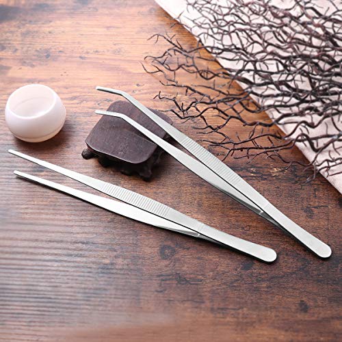 VORCOOL Stainless Steel Straight and Curved Nippers Feeding Tongs for Reptile Snakes Lizards Spider 2 Pcs Silver