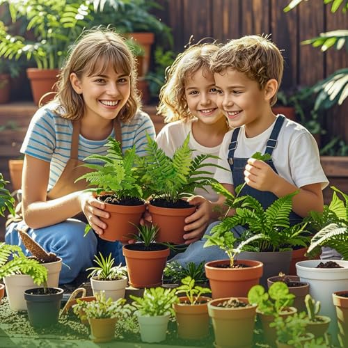 Doter Potting Soil Mix for Fern 1qt, Custom Hand Blended Mixture Suitable for Indoor/Outdoor Potted Fern Plant - size: 1qt